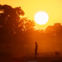 Coucher de soleil