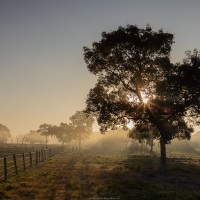 Matin brumeux