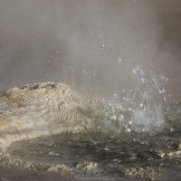 Geyser "El Tatio"- Atacama