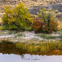 Parc Torres del Paine: couleurs d'automne