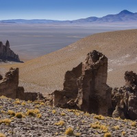 Salar de tara