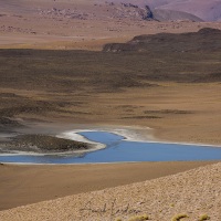 Salar de Tara