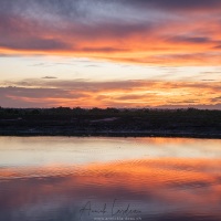 Coucher de soleil dans les llanos