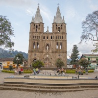 jardín: Basilique de l'Imaculée conception