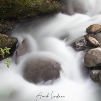 Rivière proche du lodge