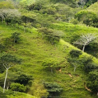 Paysage de montagne