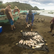 Village de pêcheurs: Vente de poisson frais