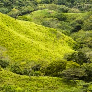 Paysage de montagne