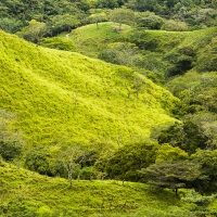 Paysage de montagne