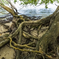 Erosion en bord de mer