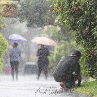 Sous la pluie tropicale