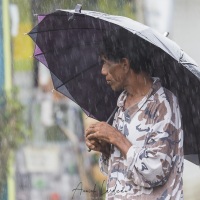 Scène de rue, sous le parapluie