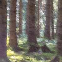 Fantaisie forestière