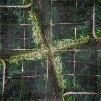 Fantaisie forestière