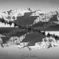 Brouillard dessus-dessous