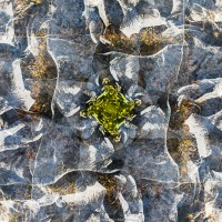 Le vert au centre