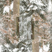 Créativité hivernale