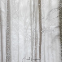 Neige et brouillard