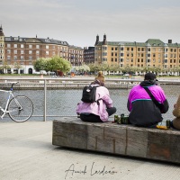 Kalvebod Bølge, Copenhague