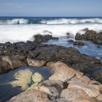 Lanzarote: paysage côtier
