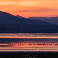 Lever de soleil sur la lagune