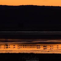 Coucher de soleil sur la lagune