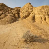 Paysage des Bardenas