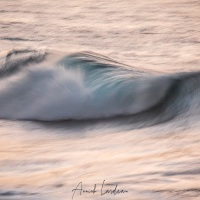 Vagues en fin de journée
