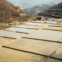 Salines millénaires dans la vallée d'Añana