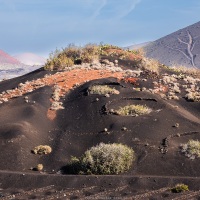 Vignoble en terre volcanique dans le sud de Lanzarote