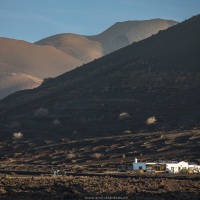 Vignoble en terre volcanique dans le sud de Lanzarote