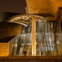 Bilbao: Vue nocturne du Musée Guggenheim