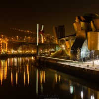 Bilbao: Vue nocturne du Musée Guggenheim