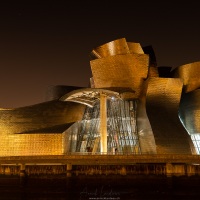 Bilbao: Vue nocturne du Musée Guggenheim