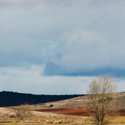 Paysage d'Aragon
