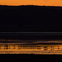 Coucher de soleil sur la lagune