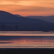 Lever de soleil sur la lagune