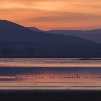 Lever de soleil sur la lagune