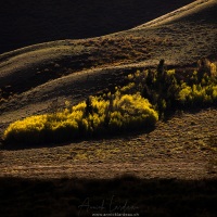 Contre-jour printanier