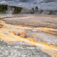 Parc Yellowstone: eau de refroidissement dans la zone d'activité hydrothermique