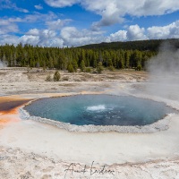 parc Yellowstone: crested pool