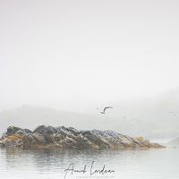 Paysage dans le Fjord de Uyak