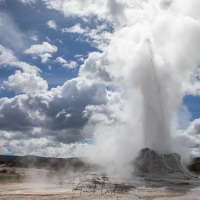 Parc Yellowstone: Castle geyer
