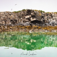 Paysage dans le Fjord de Uyak