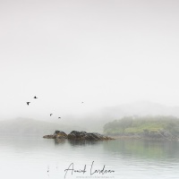 Paysage dans le Fjord de Uyak