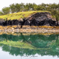 Paysage dans le Fjord de Uyak