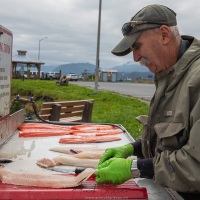 kodiak: pêcheur amateur préparant le poisson