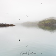 Paysage dans le Fjord de Uyak