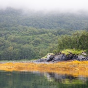 Paysage dans le Fjord de Uyak