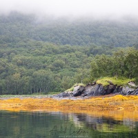 Paysage dans le Fjord de Uyak